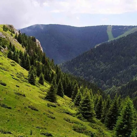 N Lux 100 Milmari * Kopaonik