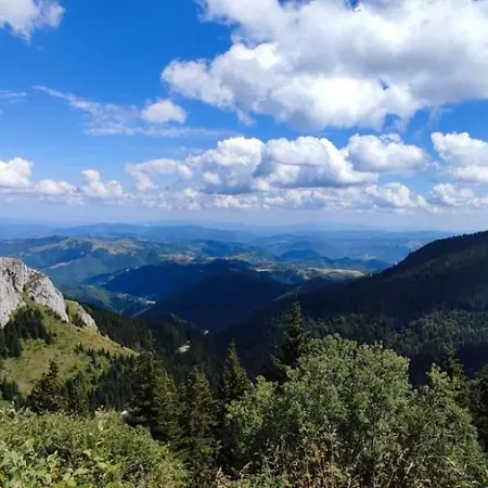 N Lux 100 Milmari Lejlighed *