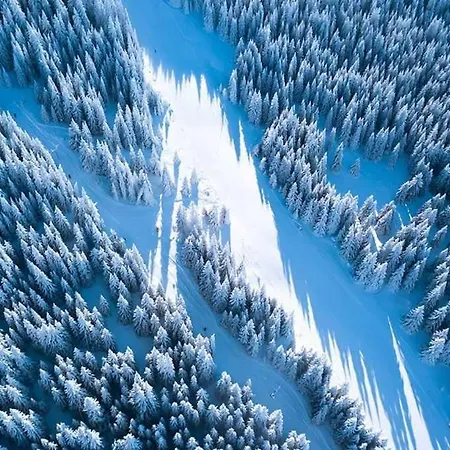 N Lux 100 Milmari Lejlighed