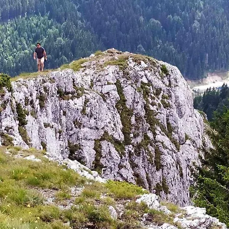 N Lux 100 Milmari Kopaonik