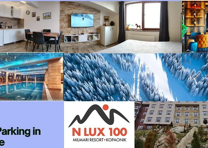 N Lux 100 Milmari コパオニク