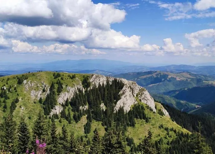 N Lux 100 Milmari アパート