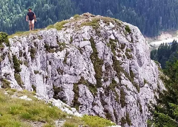 N Lux 100 Milmari コパオニク